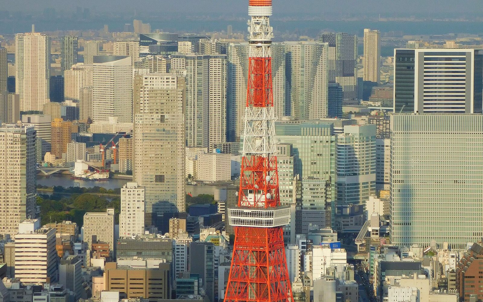 Tokyo Tower at dusk — Tokyo Haneda flight from SFO